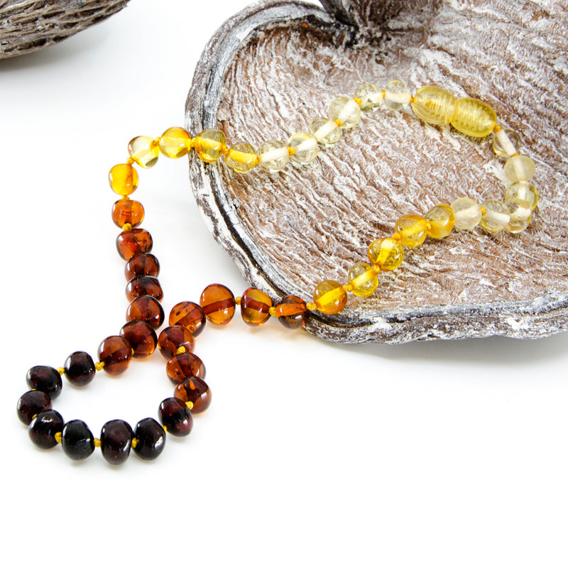 Baltic Amber Raw Multicolor Adult Necklace - AmberGemstones
